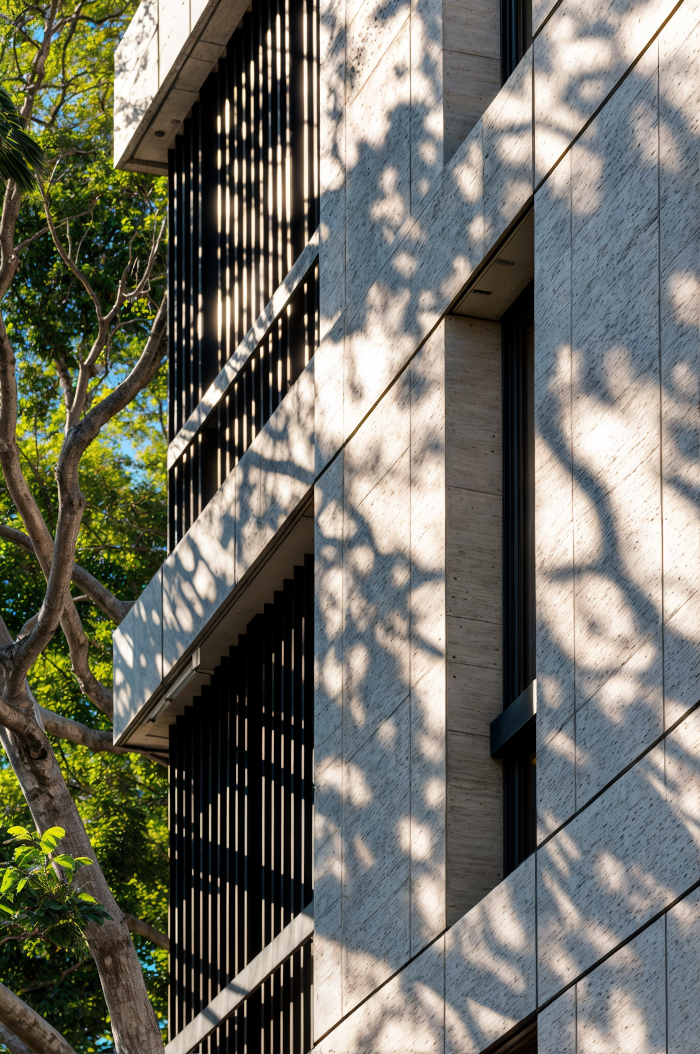 Proje 5 - Fotoğraf 5